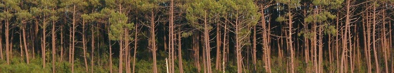 Europe Ecologie Les Verts Aquitaine